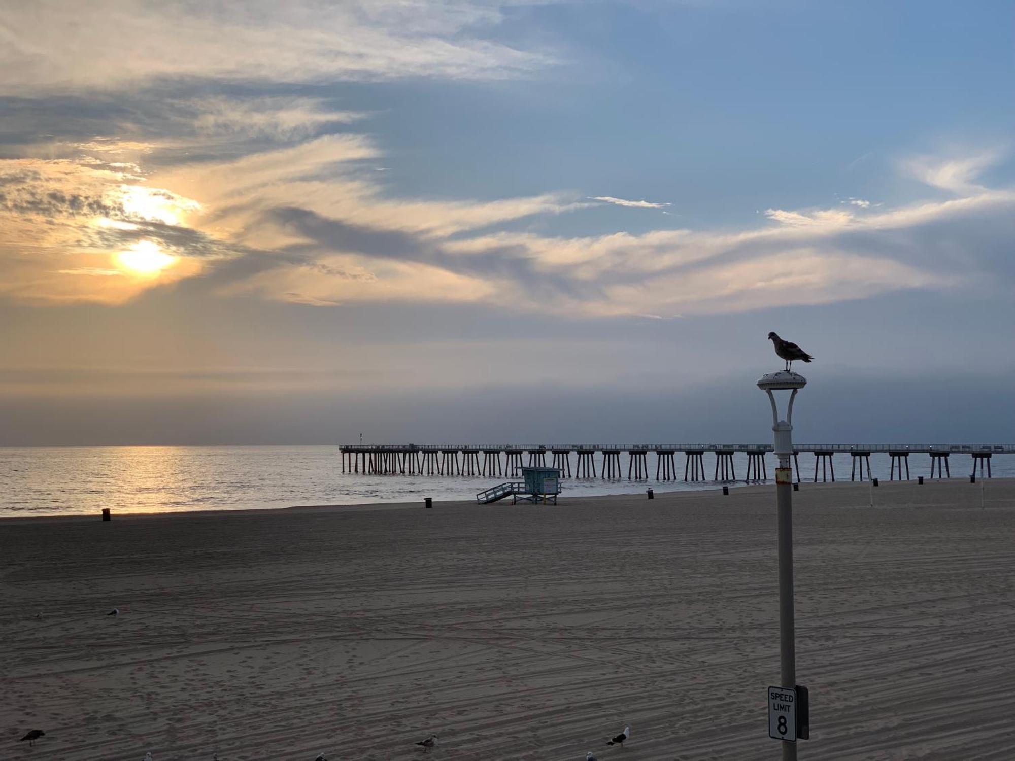 The Vurpillat Hotel Hermosa Beach Eksteriør billede